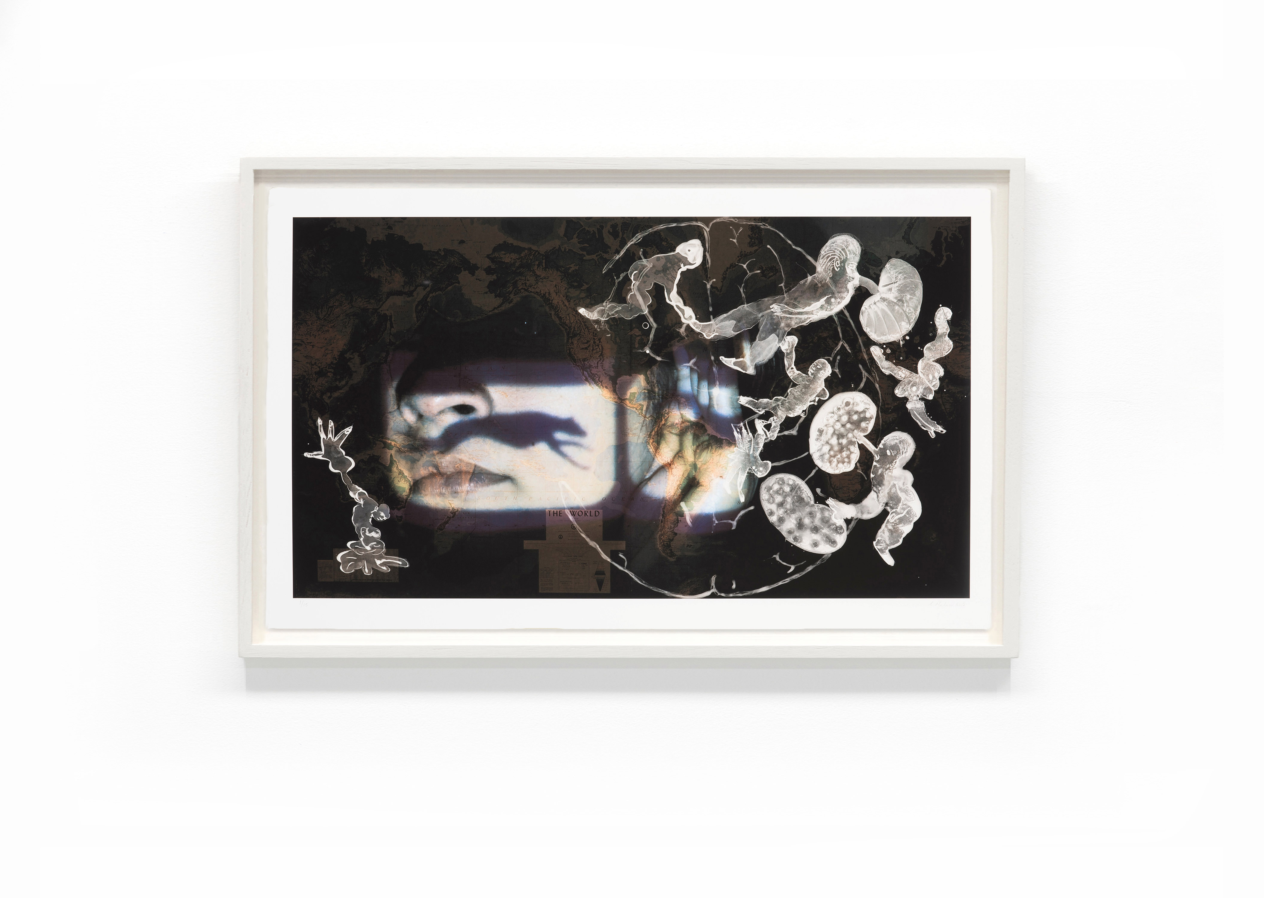 estampes The rebellion of the dead will be the war of the landscapes Nalini Malani