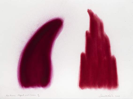 estampes Two Forms, Magenta and Crimson David Nash