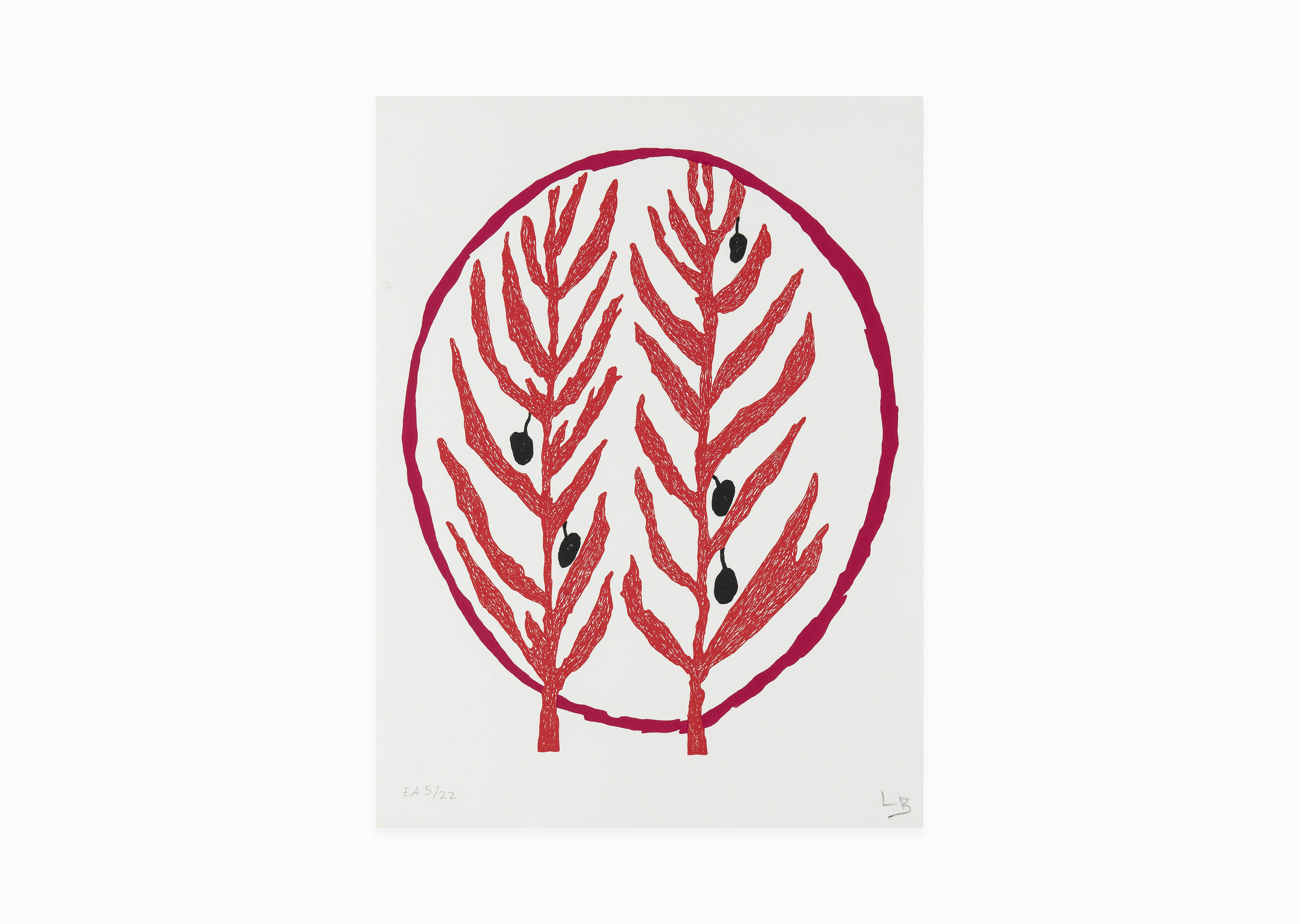 estampe Rameau d'olivier Louise Bourgeois