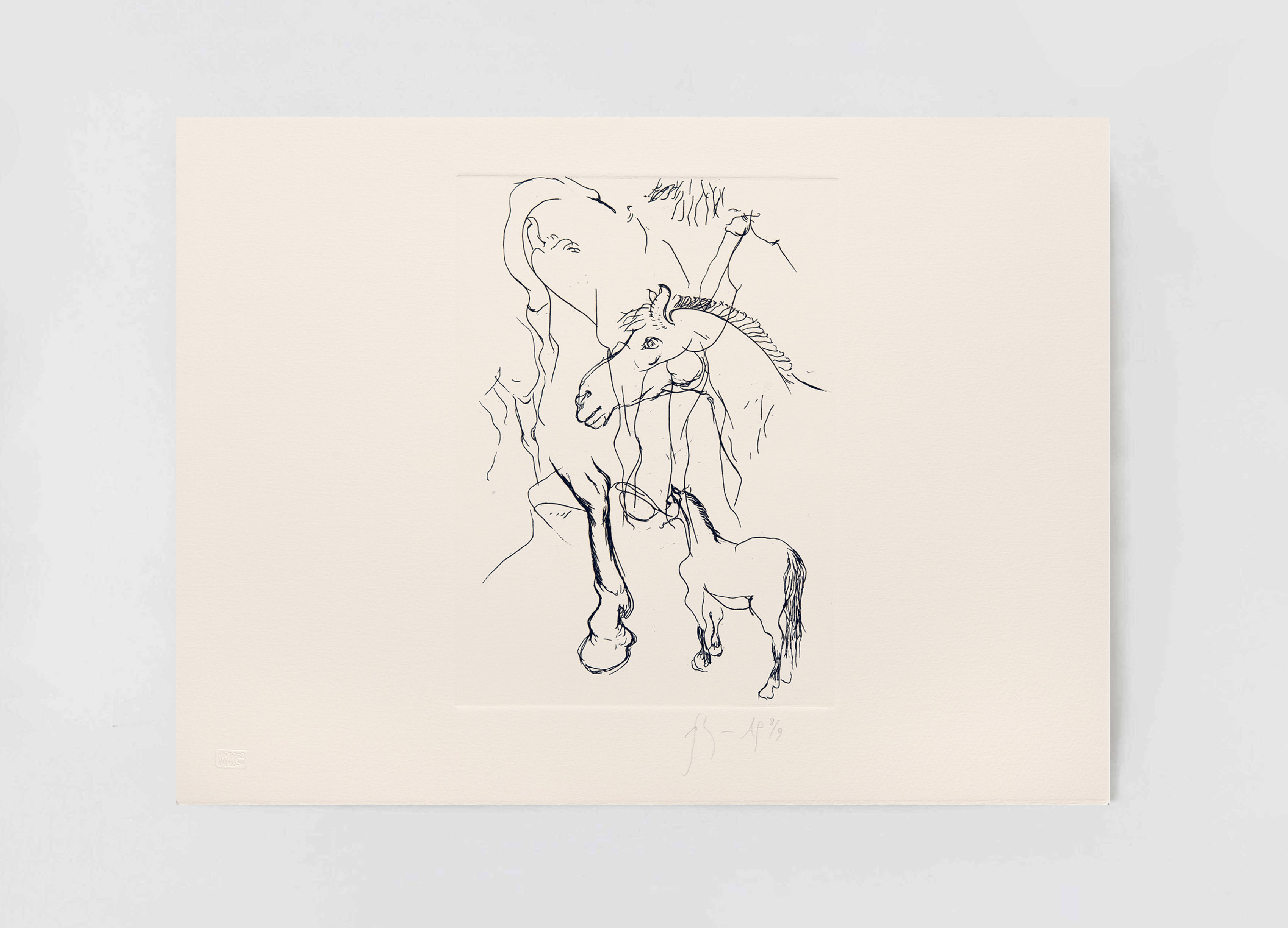 estampe Cob Study Barry Flanagan