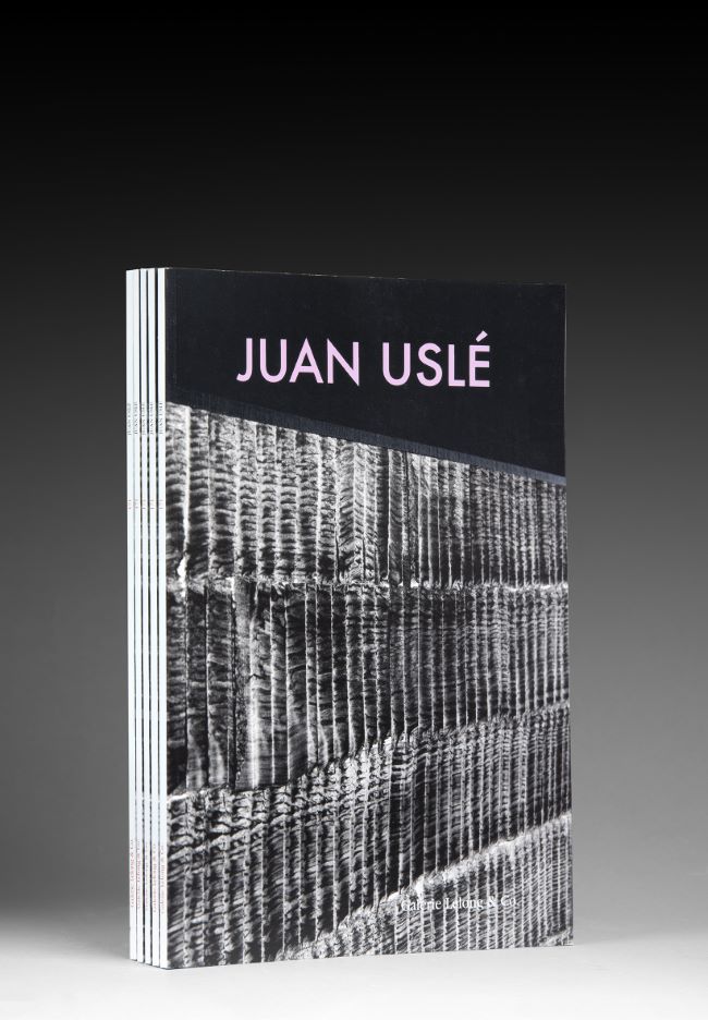 livre La noche se agita Juan Uslé