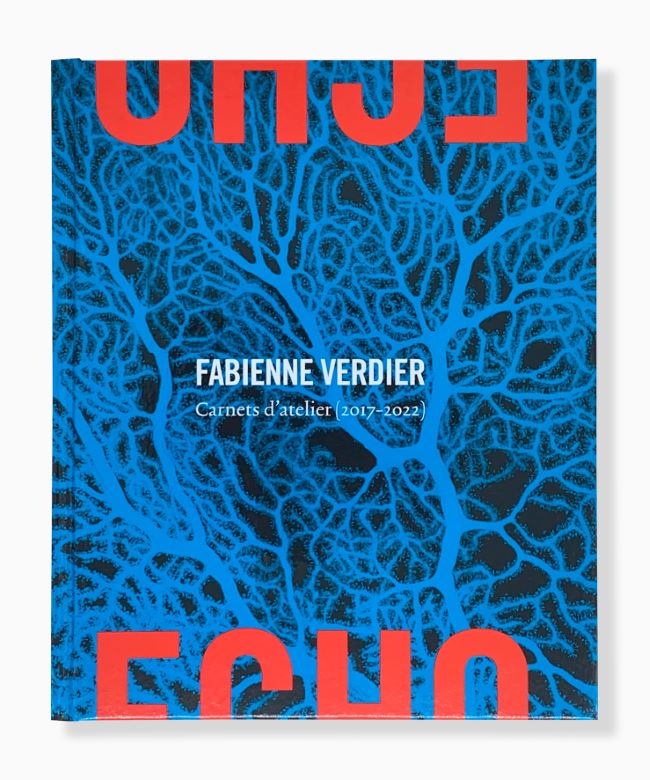 livre Echo, Carnets d'atelier (2017-2022) Fabienne Verdier