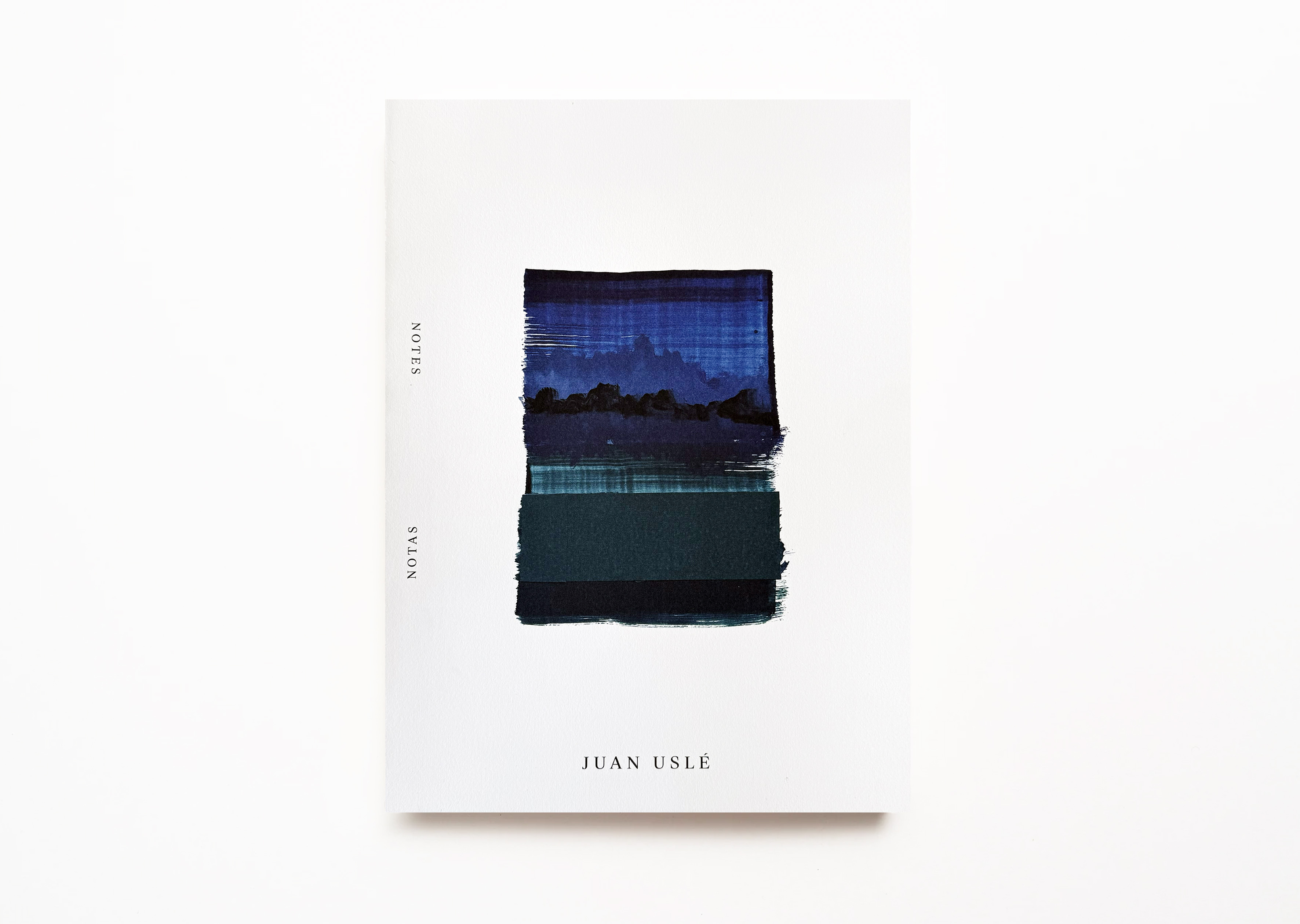 livre Notas Juan Uslé