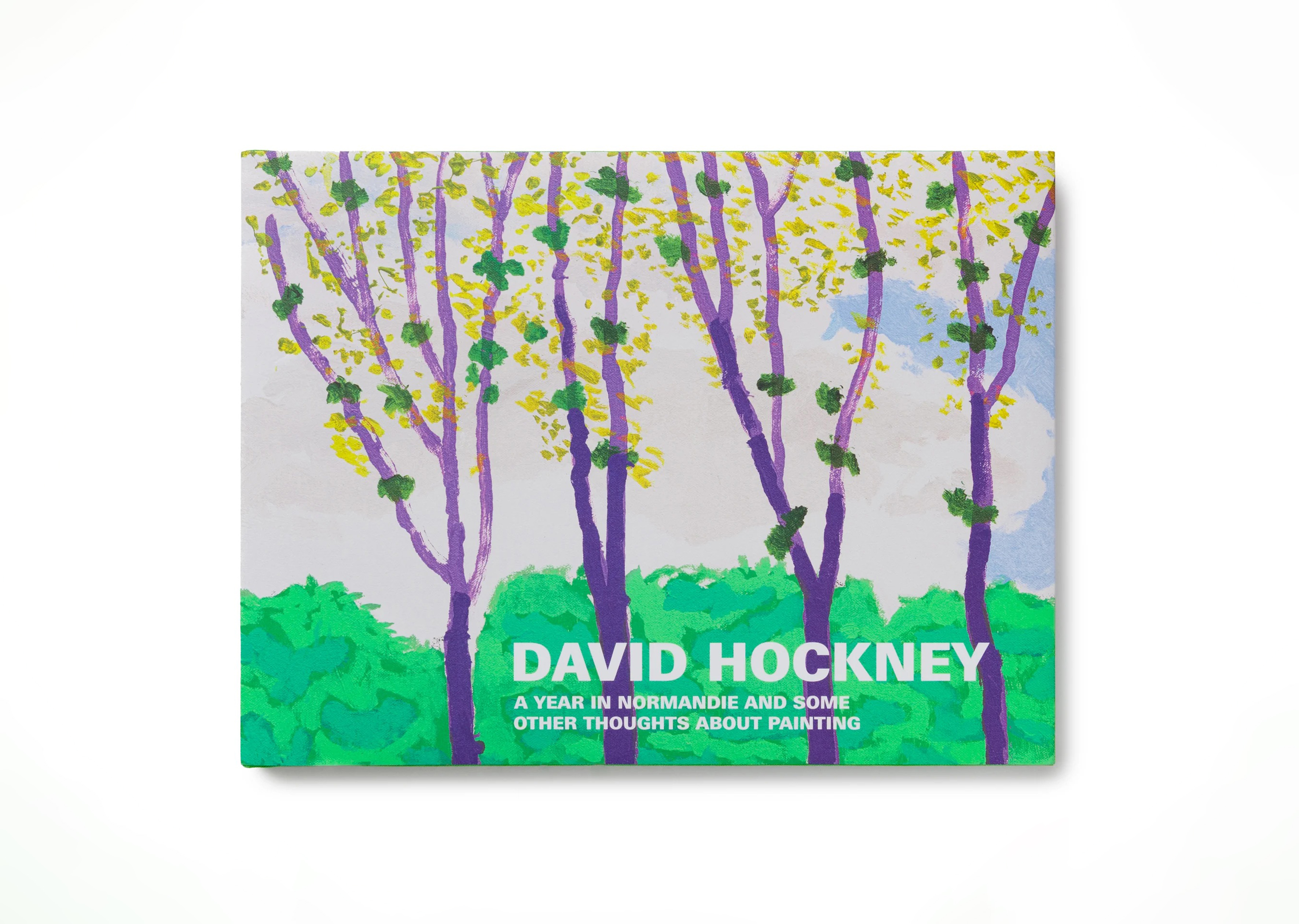 livre A Year in Normandie and Some Other Thoughts about Painting David Hockney