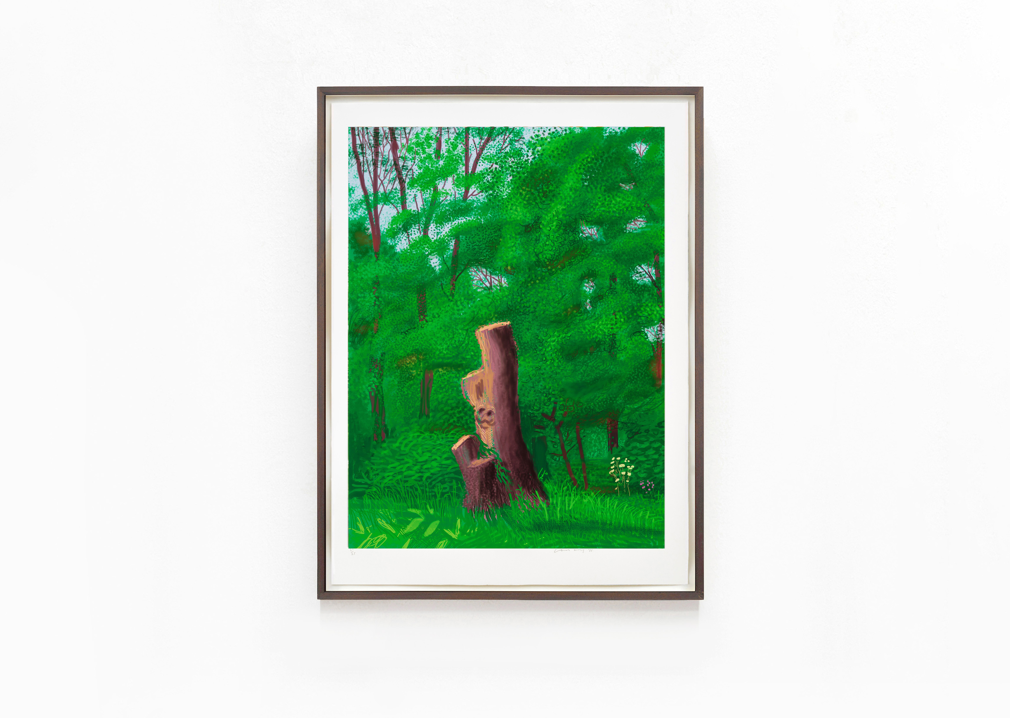 oeuvre The Arrival of Spring in Woldgate, East Yorkshire in 2011 (twenty eleven) - 22 May David Hockney