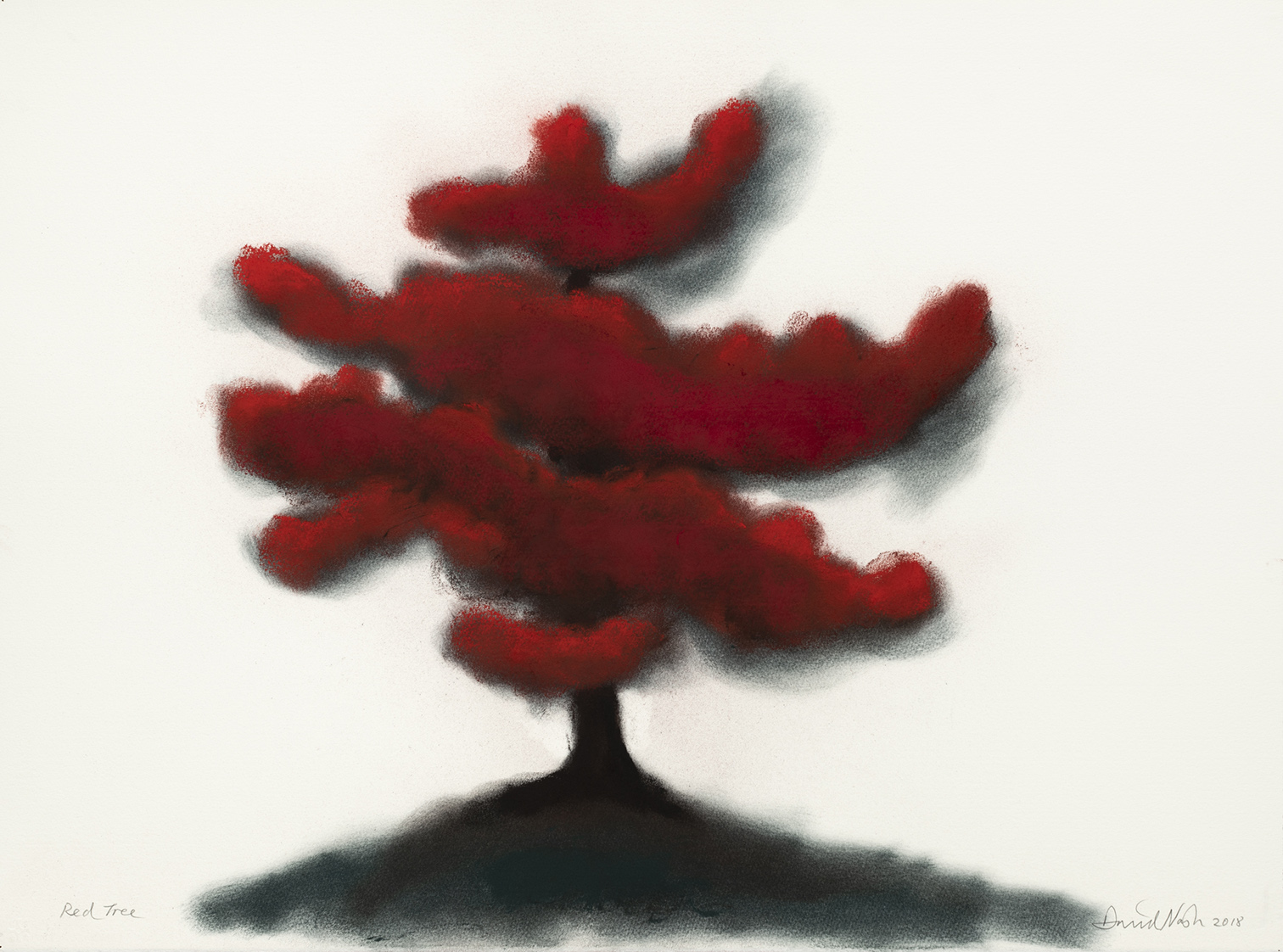 oeuvres Red Tree (#1) David Nash