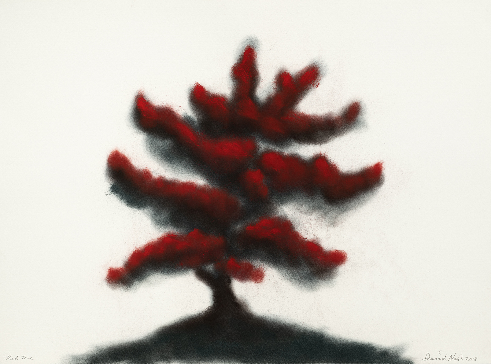 oeuvres Red Tree (#2) David Nash