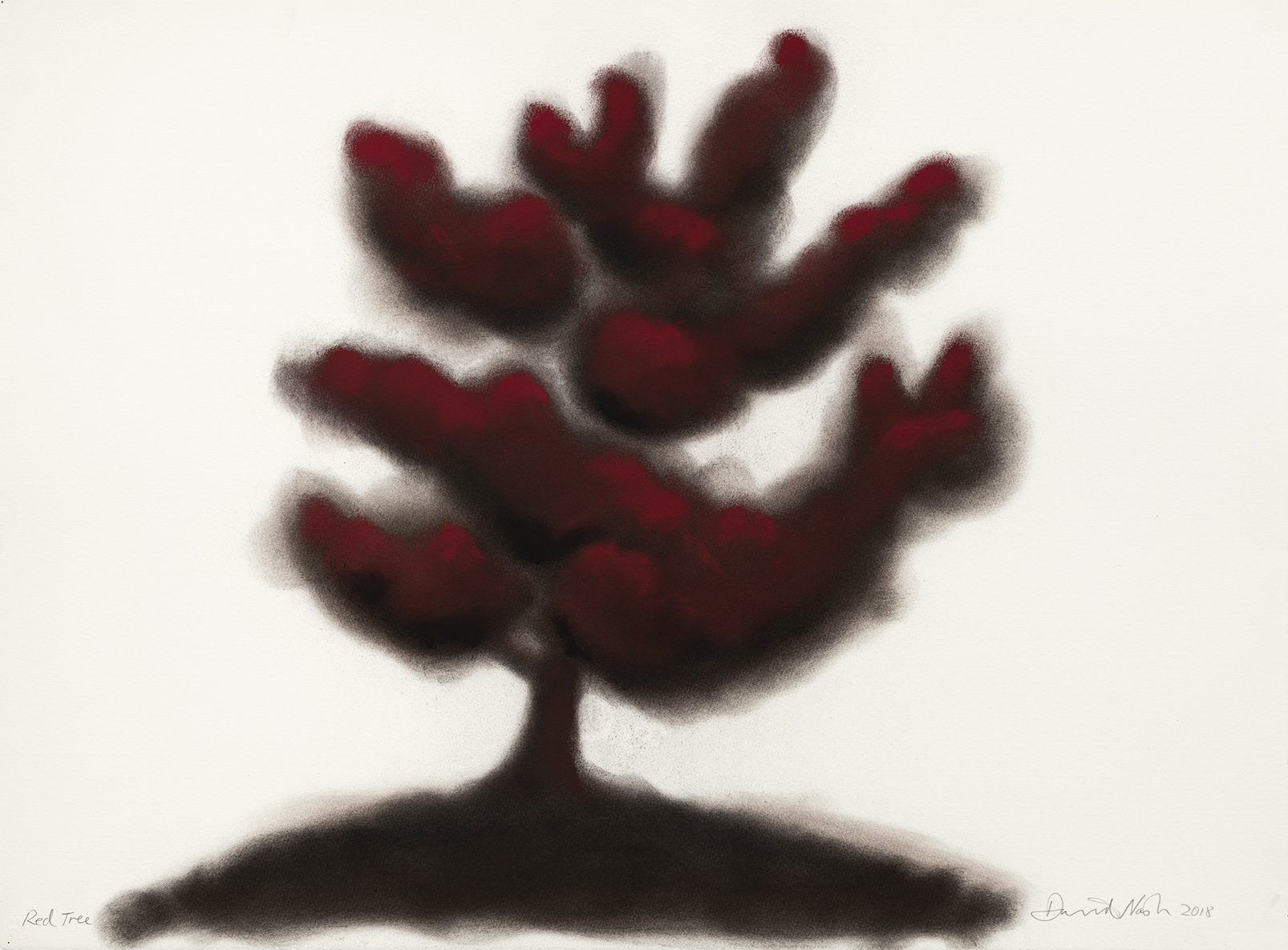 oeuvres Red Tree (#3) David Nash