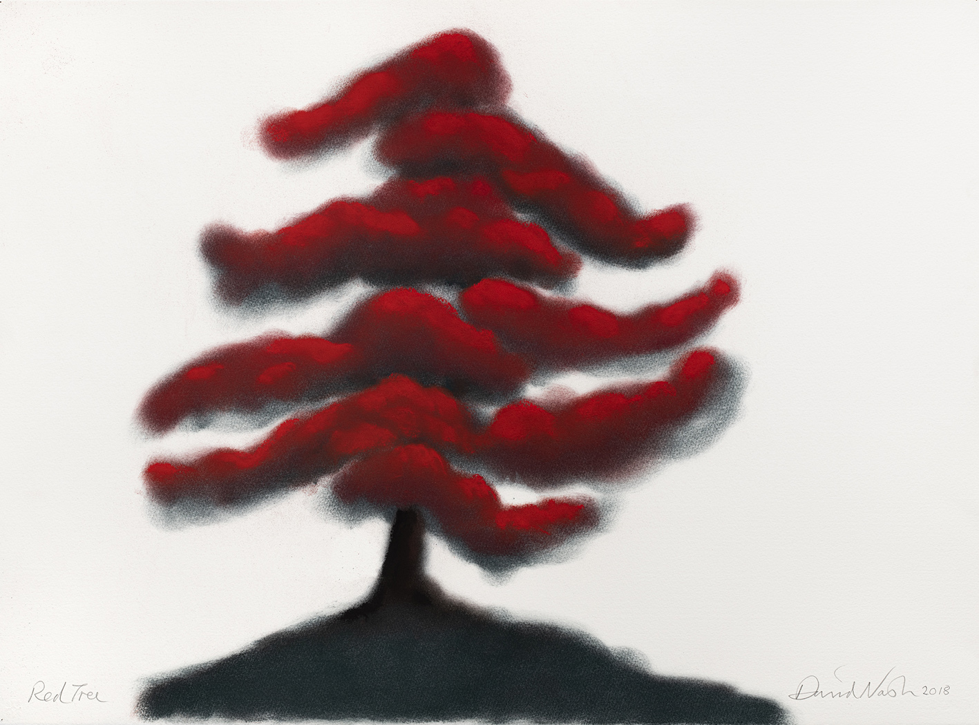 oeuvres Red Tree (#5) David Nash