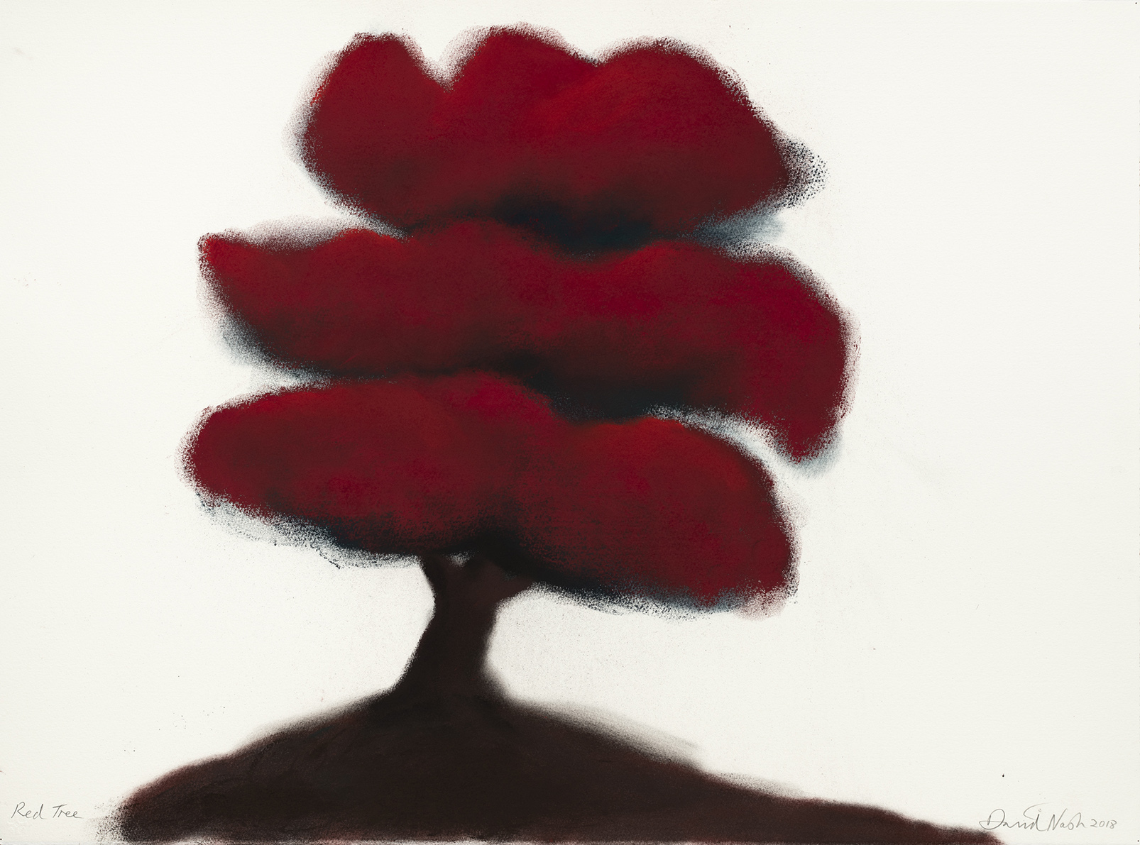 oeuvres Red Tree (#7) David Nash