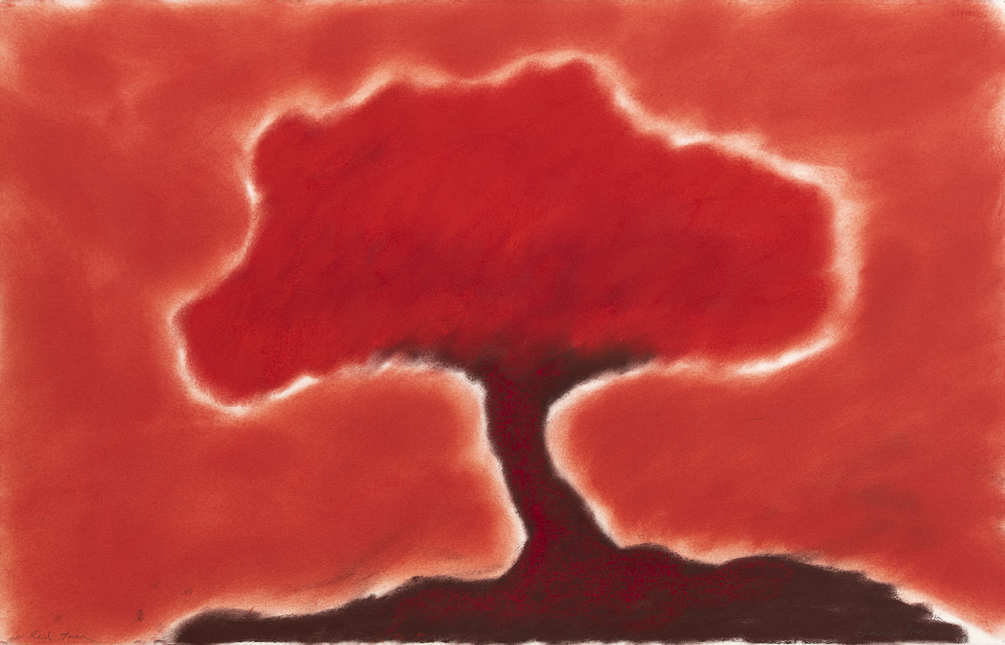 oeuvres Red Tree David Nash