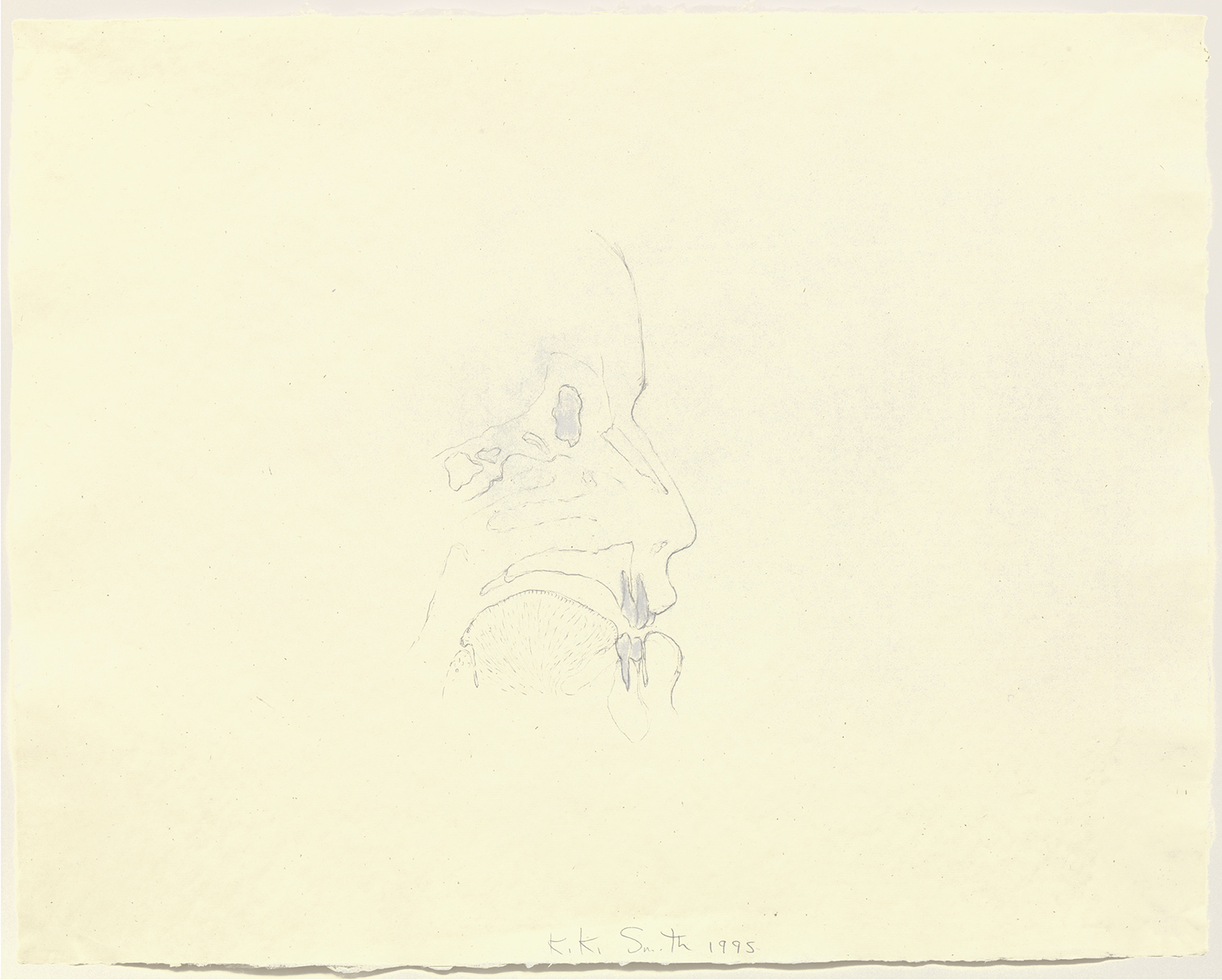 oeuvres Avebury Drawing (Cross Section Head Looking Right) Kiki Smith