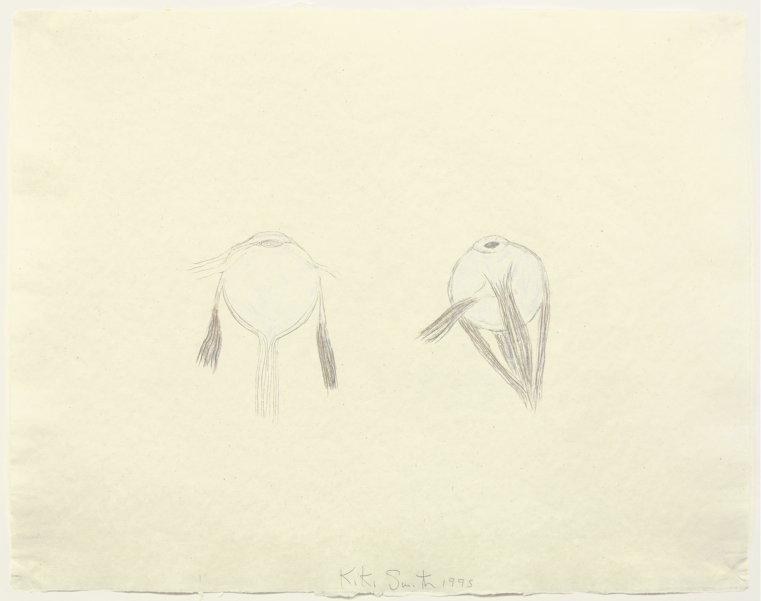 oeuvres Avebury Drawings (Two Eggs) Kiki Smith