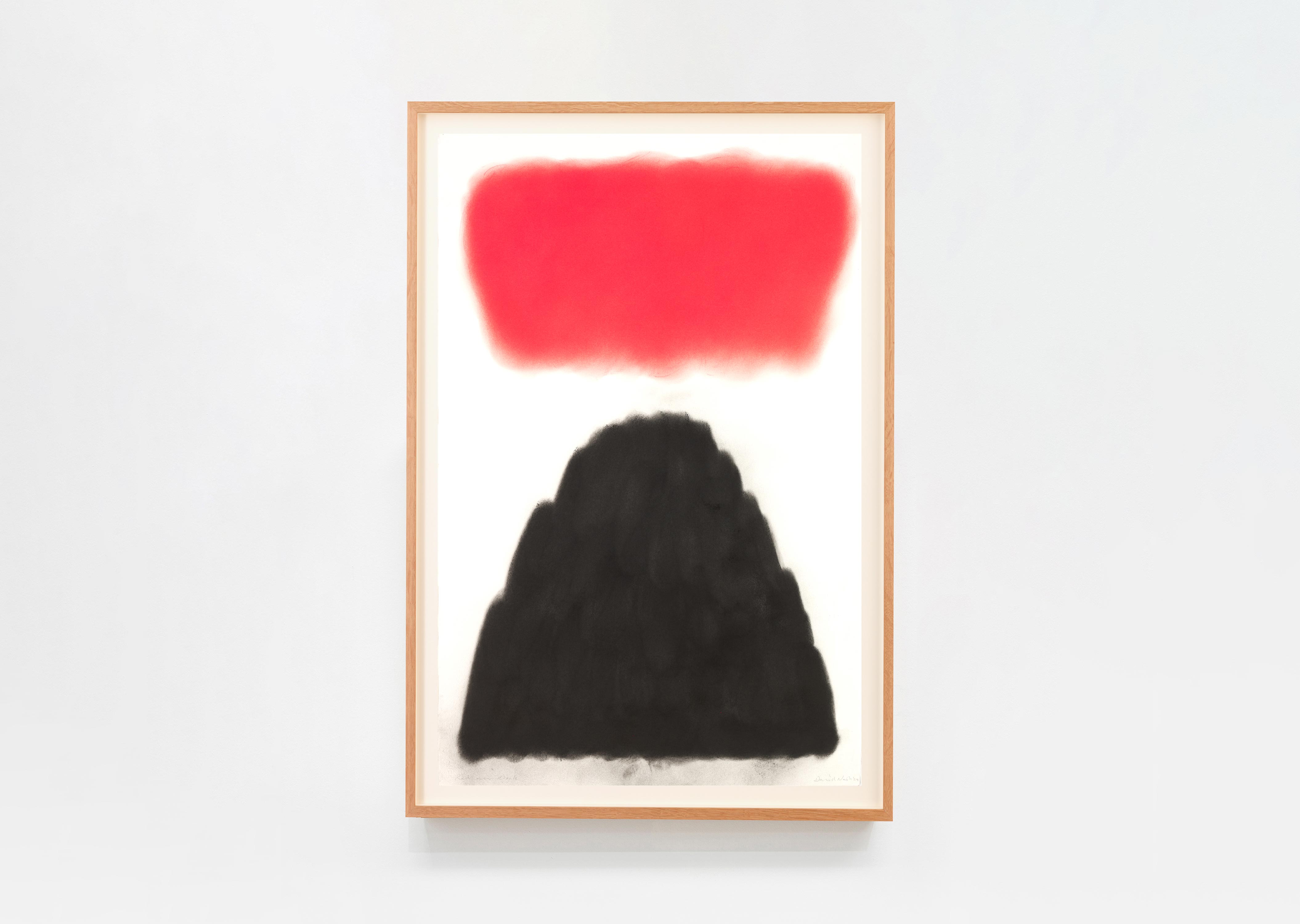 oeuvre Red Over Black David Nash