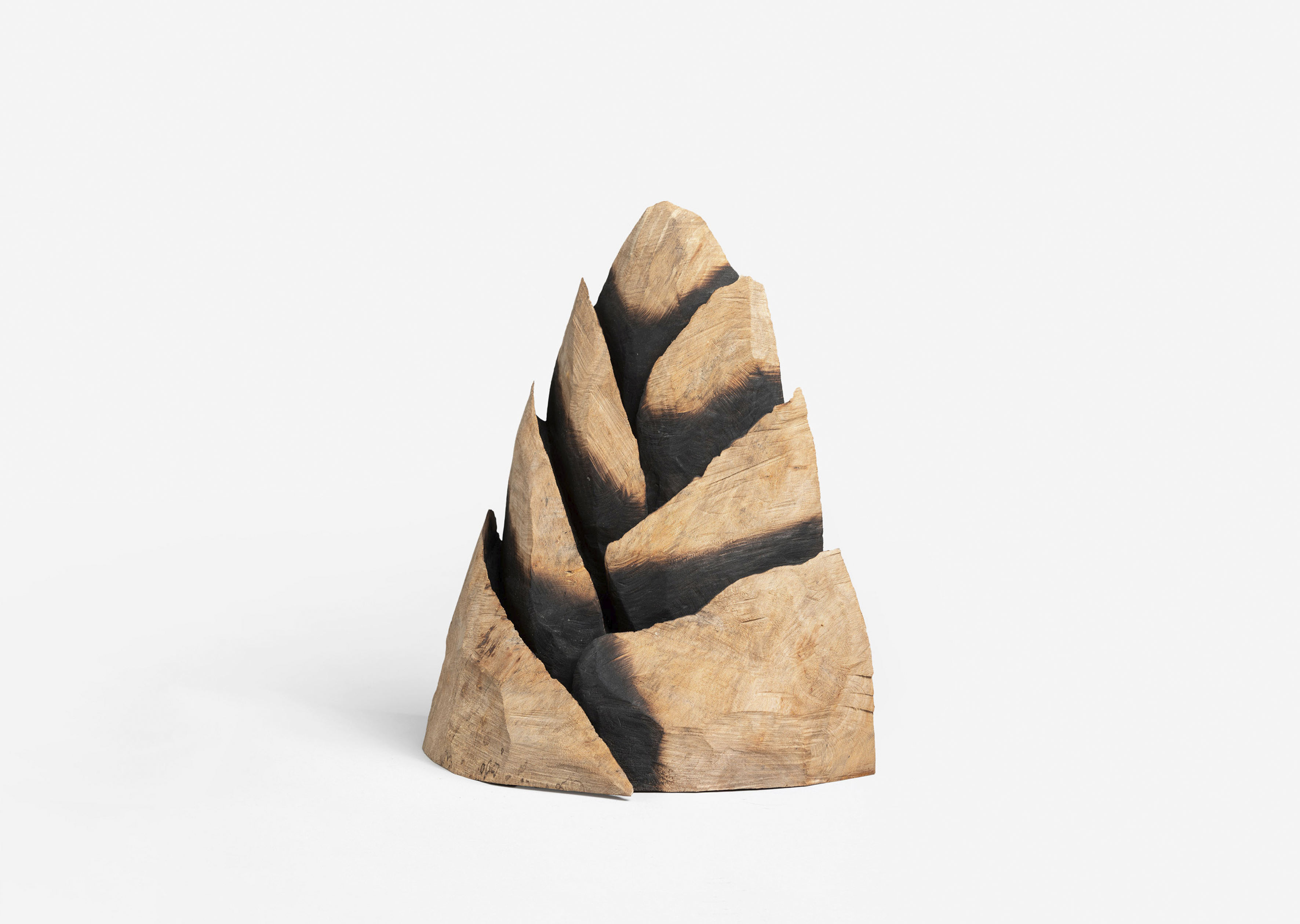David Nash Artiste Galerie Lelong David Nash Artiste Galerie Lelong