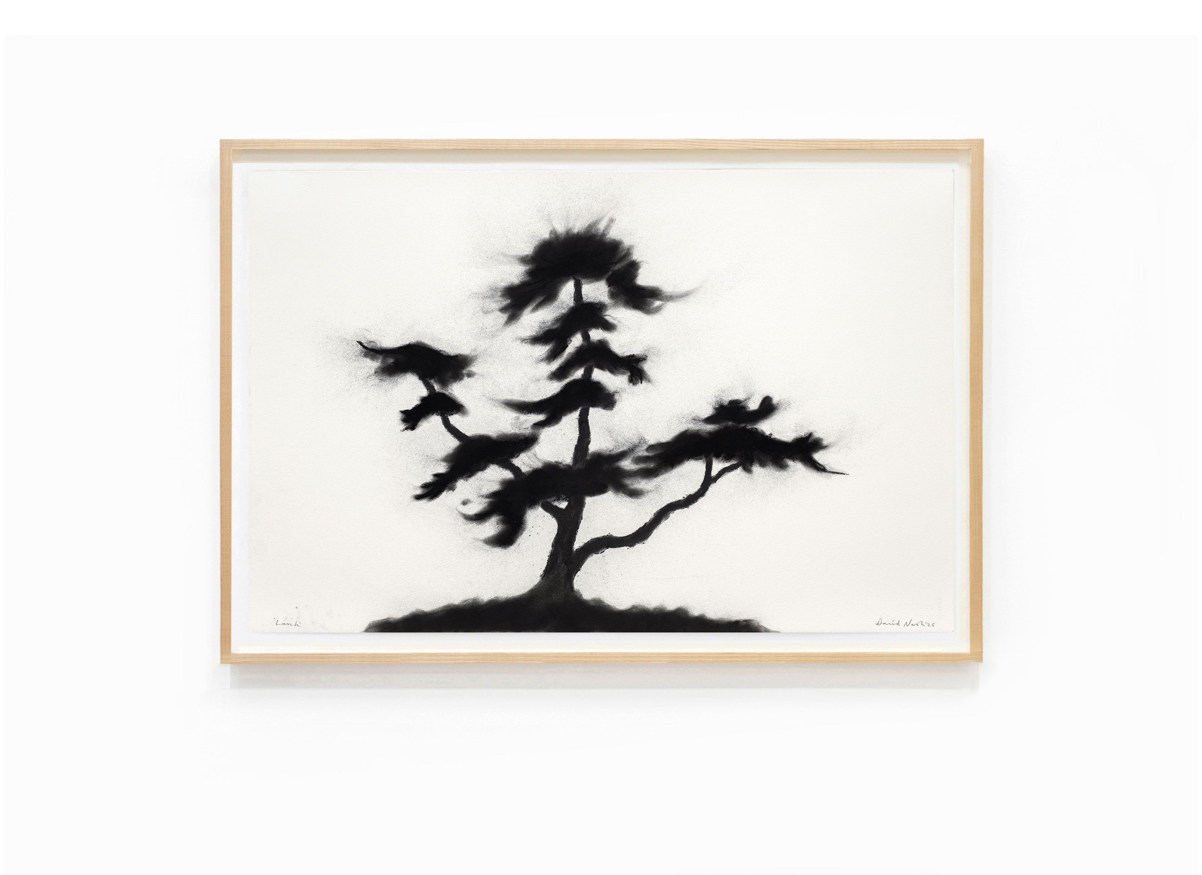 oeuvres Larch David Nash