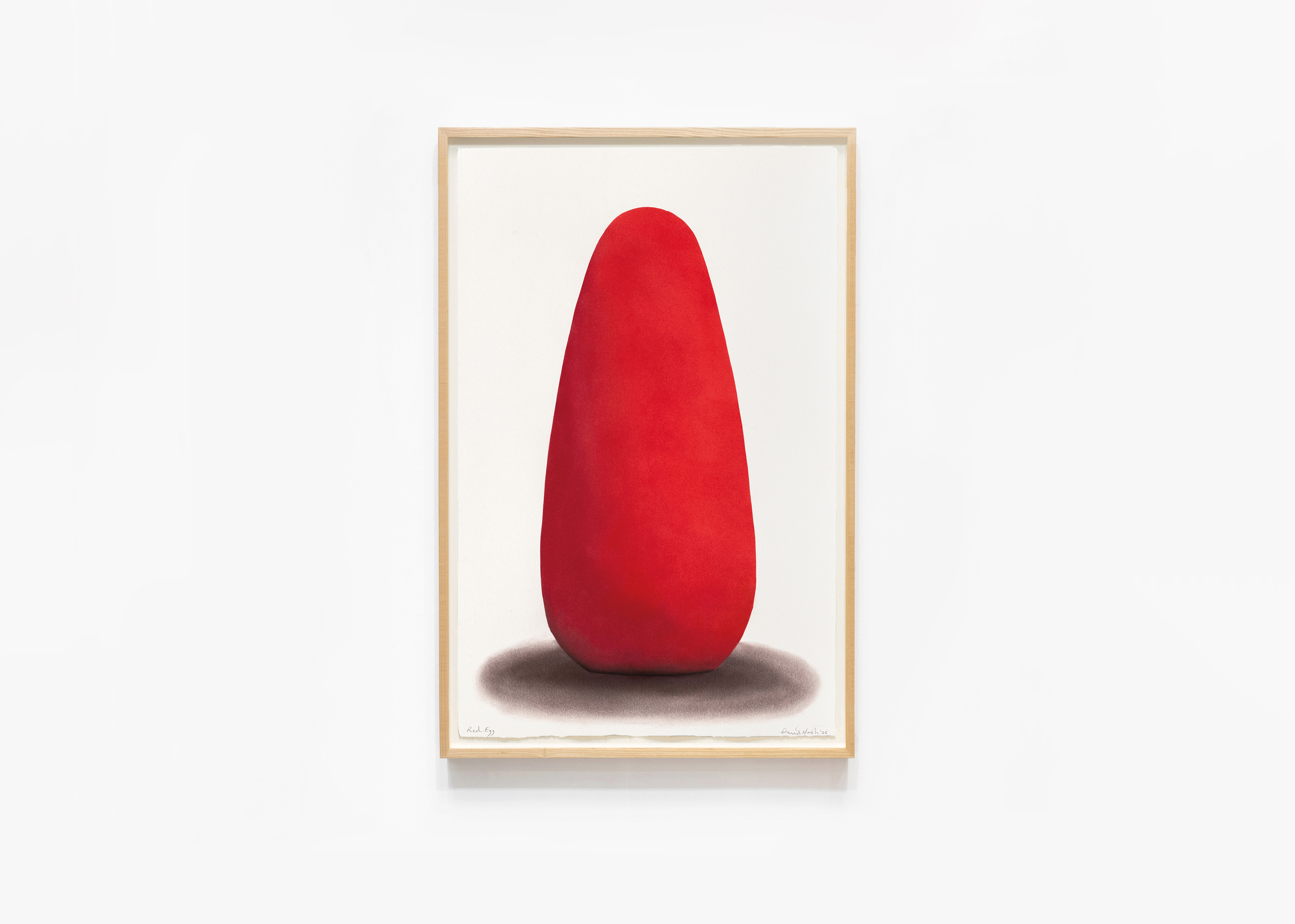 oeuvre Red Egg David Nash