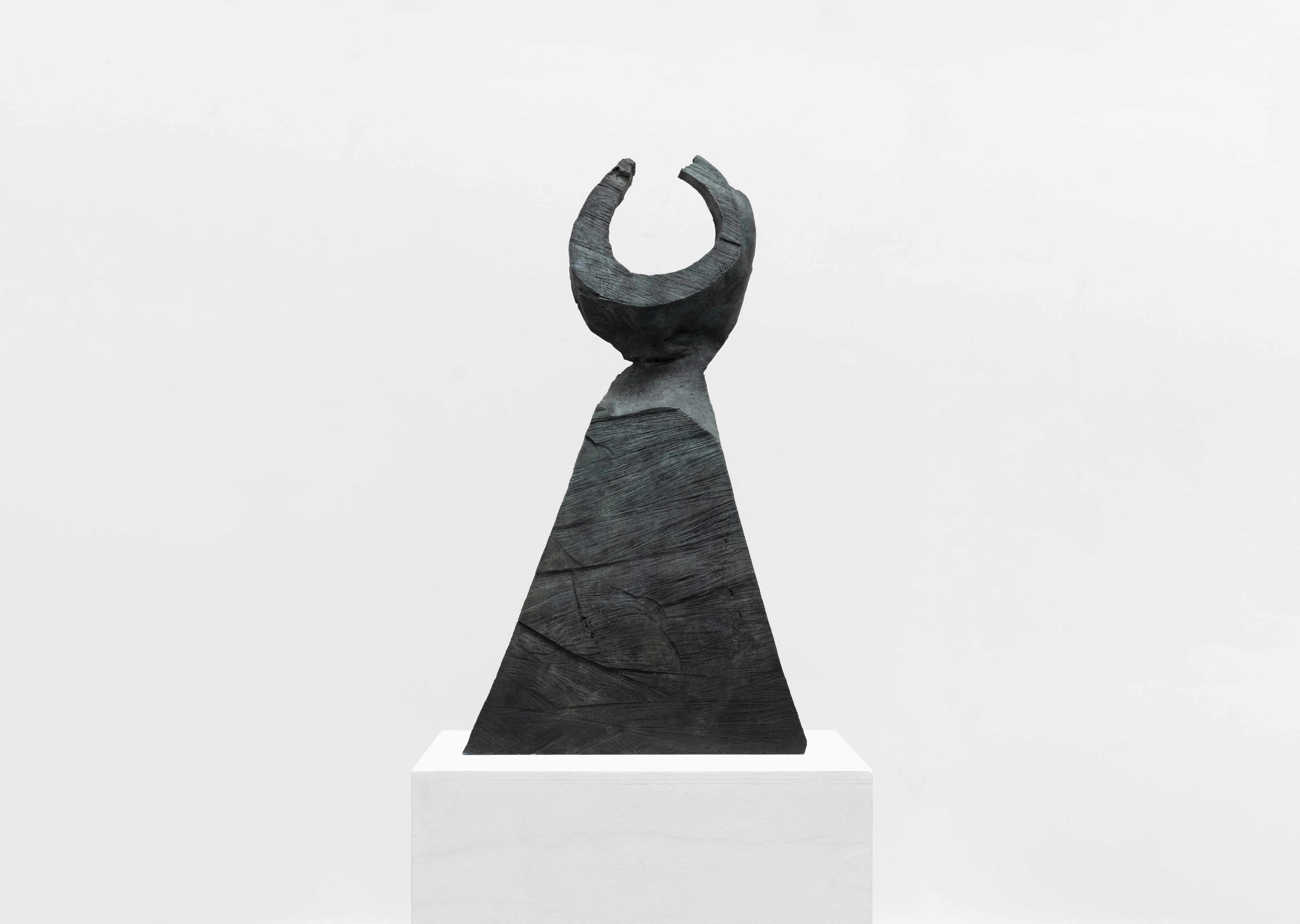 oeuvre Crescent David Nash