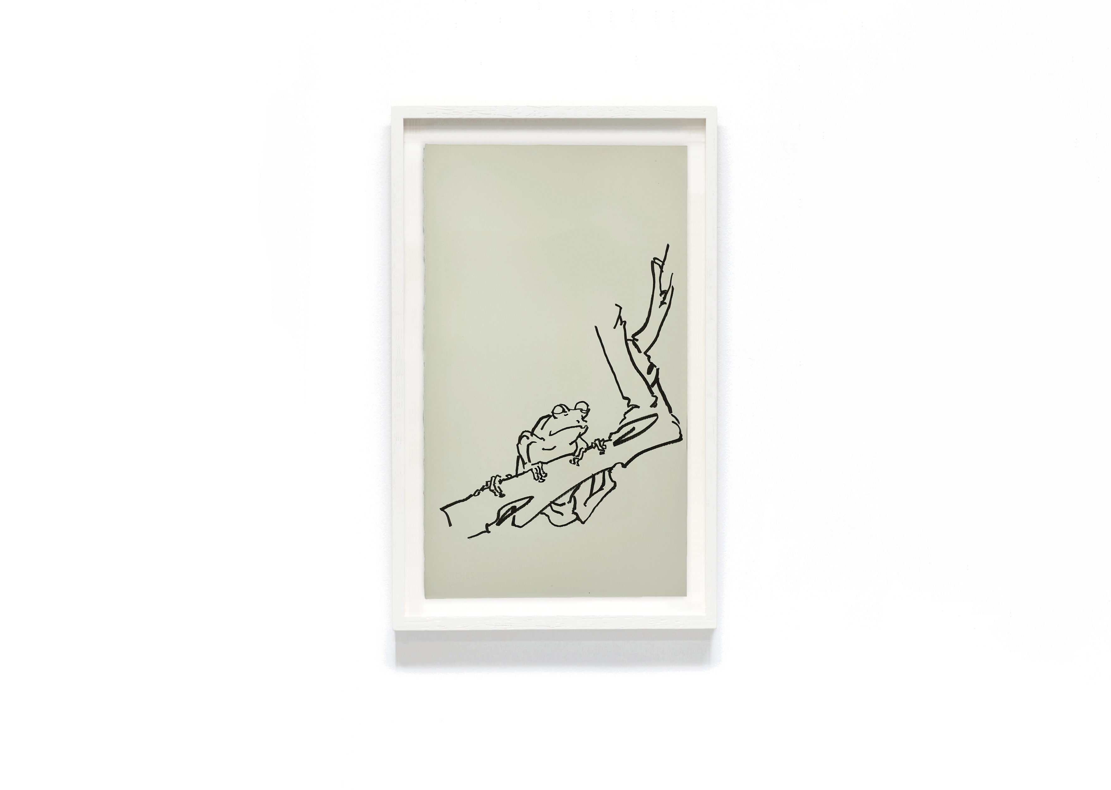 oeuvre Grenouilles des bois et des champs XVI Fabienne Verdier