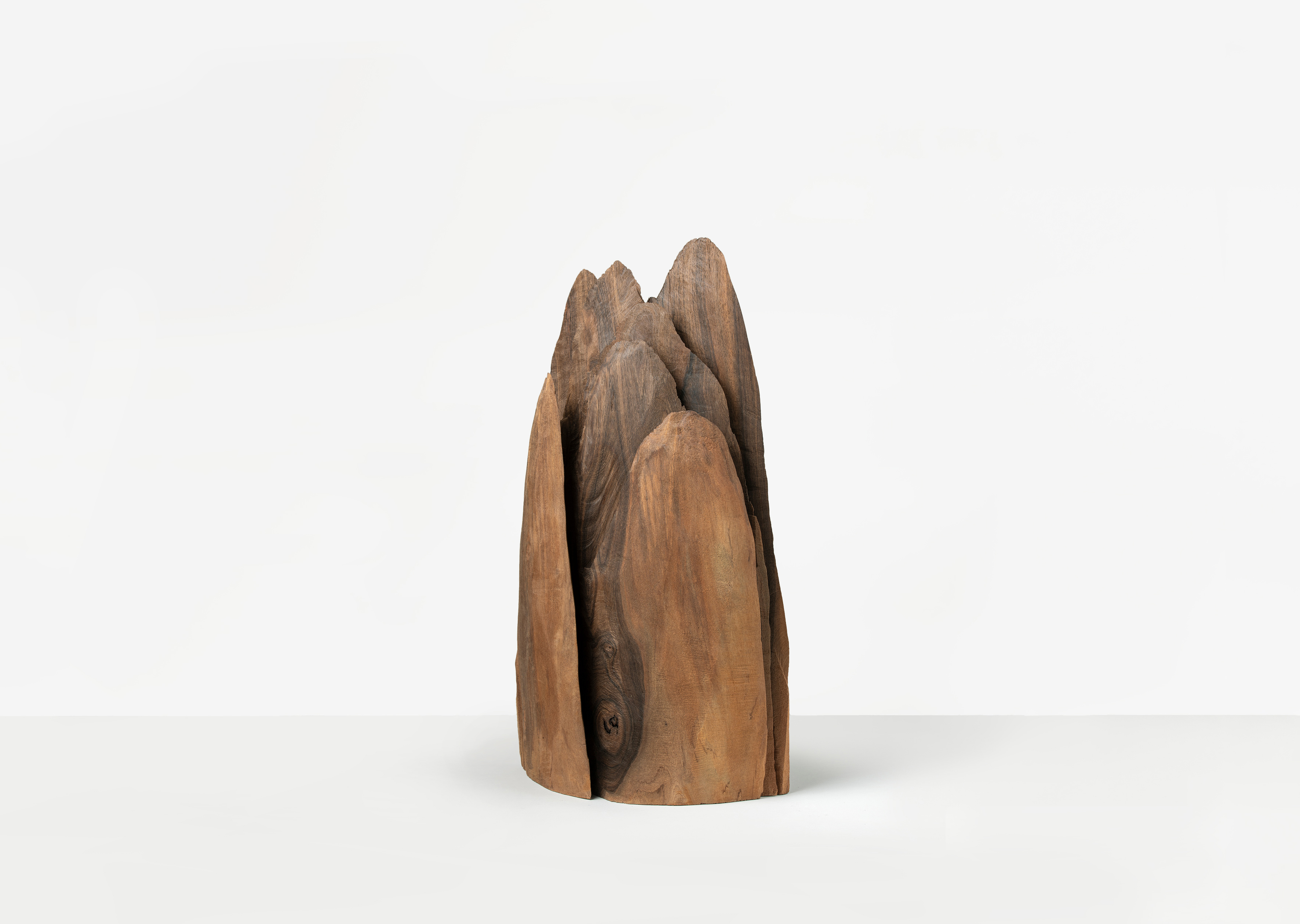 oeuvre Mountains David Nash