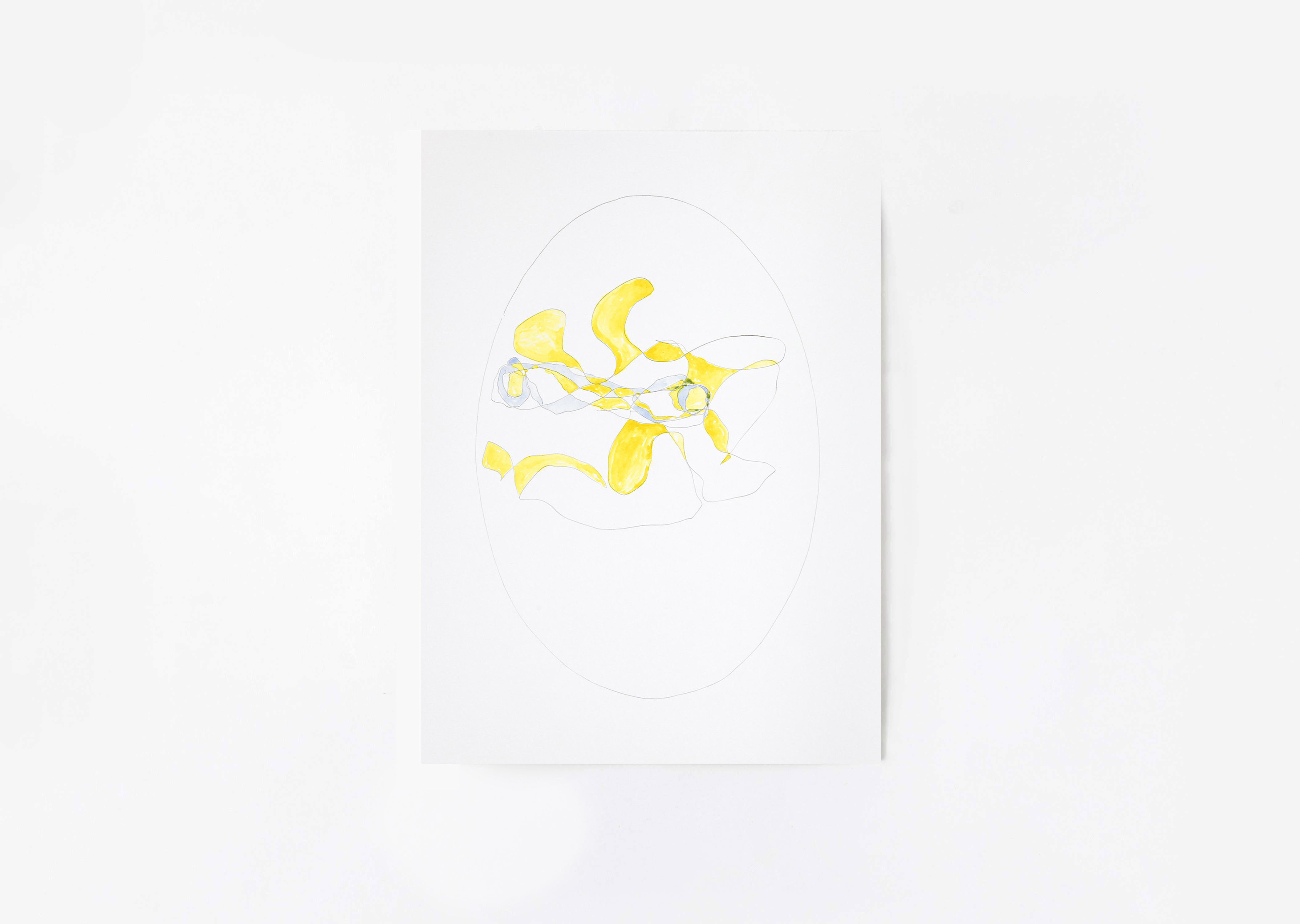 oeuvre Oval 6 Richard Tuttle